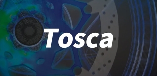 Tosca(基于 FEA 和 CFD 仿真的高效優(yōu)化)